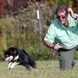 CH Gaylord's Guccifer 10.0 Sho Mai Sou, CA BCAT (call name Guccifer) - Shiba Inu puppy from Shomaisou Shiba Inu