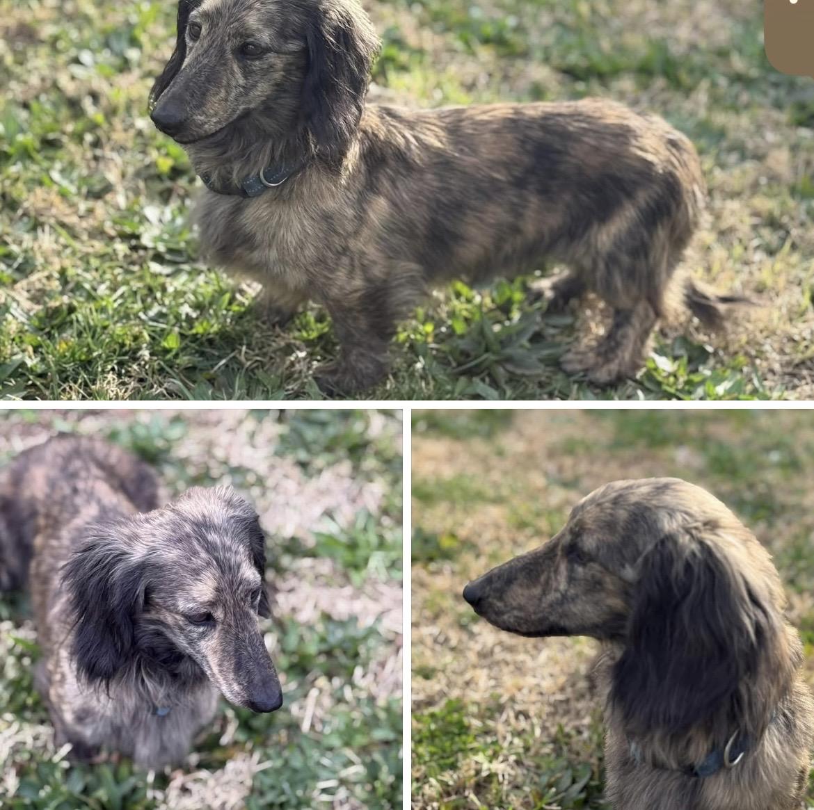 Kosmo