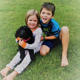 Goldendoodle Puppies from South Paw Doodles