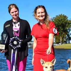 Carolina Dogs from Full Circle Carolina Dogs