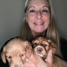 Dachshund Puppies from Carlin's Weiner Haus