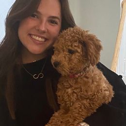 Goldendoodles from Sweet Tennessee Doodles