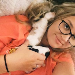 Cavalier King Charles Spaniel Puppies from CK Cavaliers