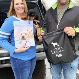 Rottweiler Puppies from KarmaKennelPNW