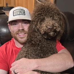 Teddy - Brown and white male Sheepadoodle puppy in Cleveland, Georgia from Jam's Doodles And Poodles