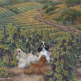 Cocker Spaniels from archangel cockers