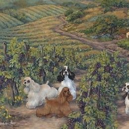 Cocker Spaniels from archangel cockers