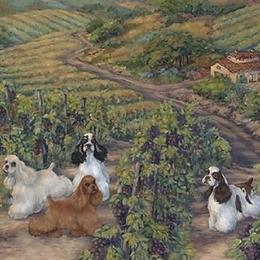 Cocker Spaniels from archangel cockers