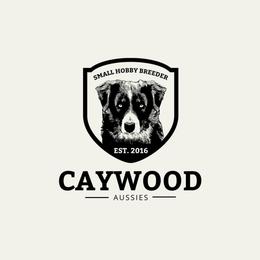 Zara - Black tri-color female Australian Shepherd puppy in Columbia, Kentucky from Caywood Aussies