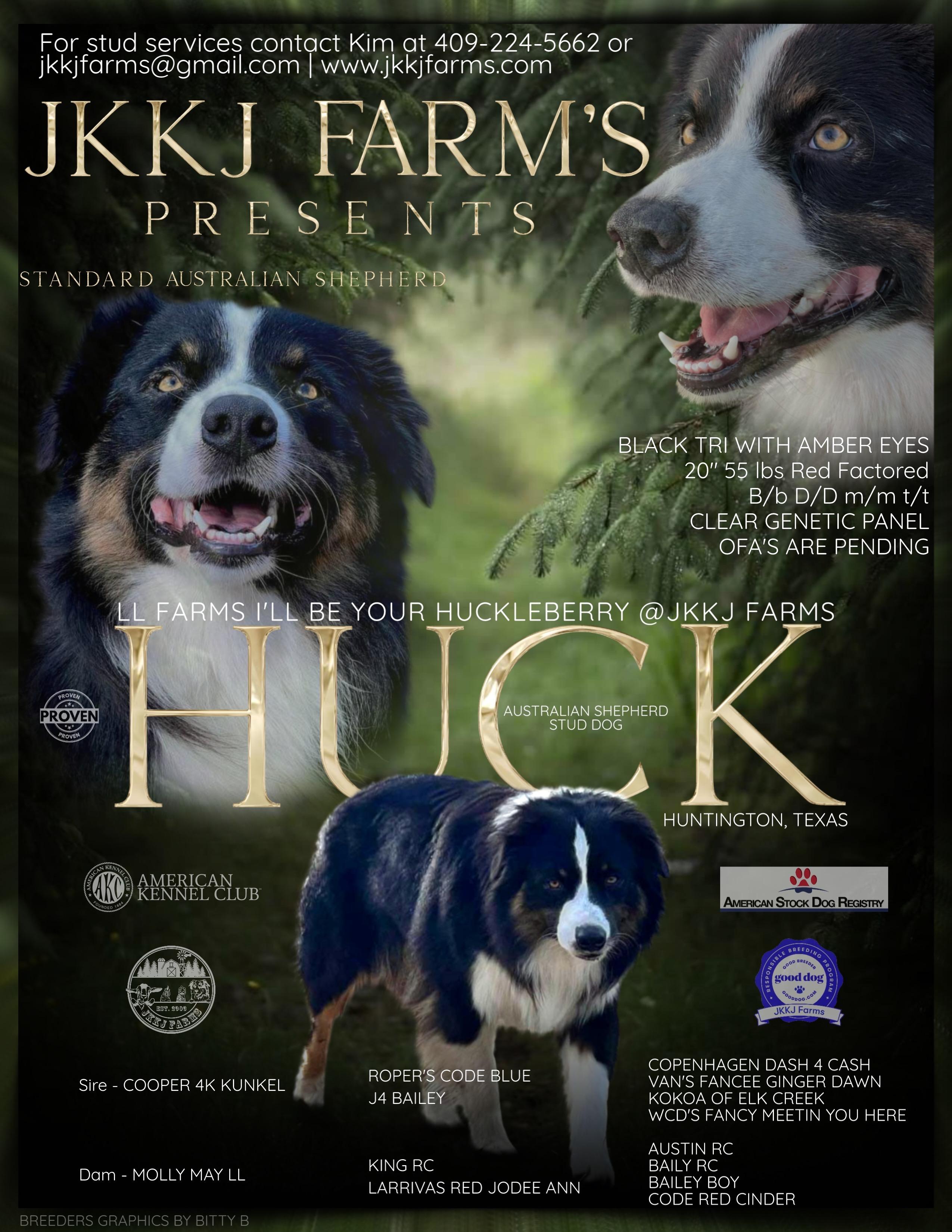 Huck