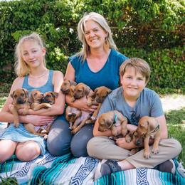 Rhodesian Ridgeback Puppies from Alta Ridgebacks