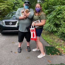 Cavalier King Charles Spaniel Puppies from CK Cavaliers