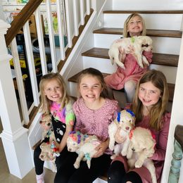 Goldendoodle Puppies from Lakeside Doodles MN