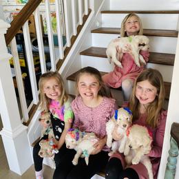 Goldendoodle Puppies from Lakeside Doodles MN