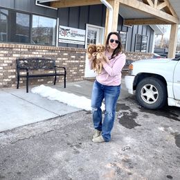 Goldendoodle Puppies from Doodle Love ❤️