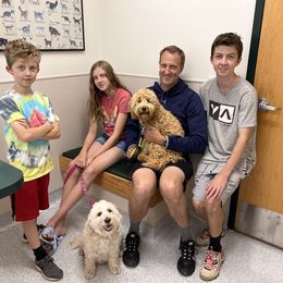 Goldendoodle Puppies from Dean Doodles