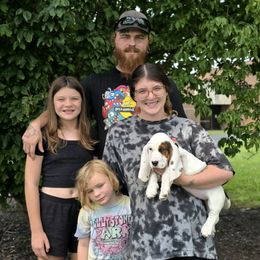 Ruth (Black) - Black white and brown female Basset Hound puppy in Amelia, Ohio from Lady Mae Bassets