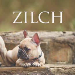 Fawn with Black Mask 1 - Fawn male French Bulldog puppy in San Antonio, Texas from Silkhaus+Frenchies LLC