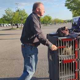 French Bulldogs from JoyBull Frenchies