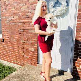 Terri - Cream female Pomeranian puppy in St. Louis, Missouri from Saint Louis Pomeranian babies