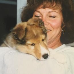 Shetland Sheepdog Puppies from Hillbrae Shetland Sheepdogs