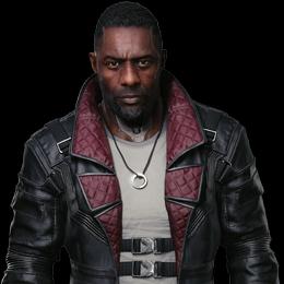 Brown Collar aka Solomon Reed - Black male Cane Corso puppy in Houston, Texas from Zenith Cane Corso