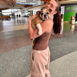 Bulldog Puppies from Magic City Kennel
