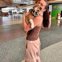 Bulldog Puppies from Magic City Kennel