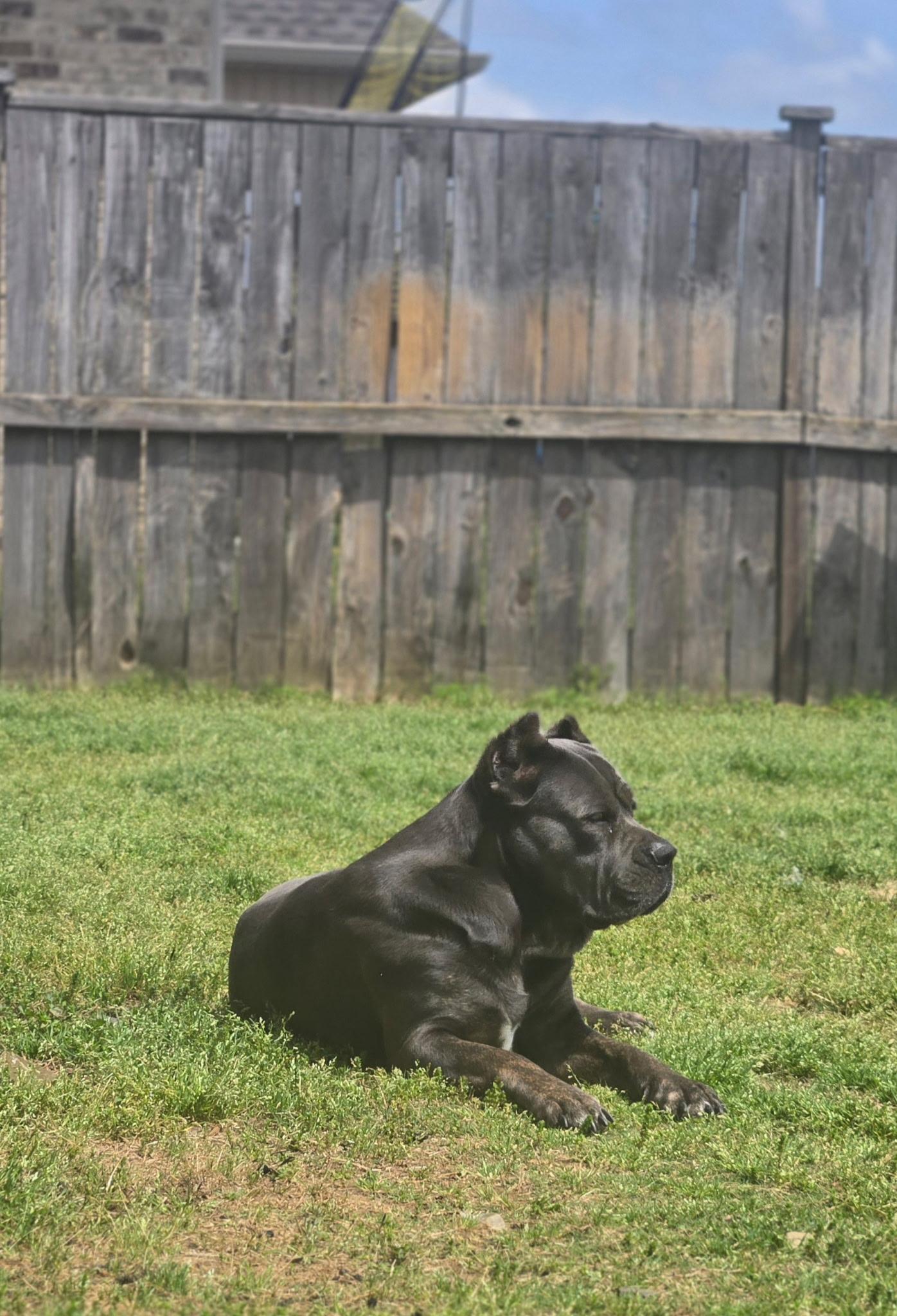 Luna