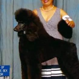 Armani - Poodle