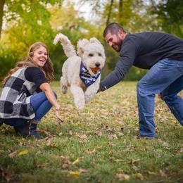Goldendoodle Puppies from KandE Doodles