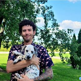 Boy 1 - White and black Dalmatian puppy in Sidney, Ohio from LUA Ohio Dalmatians