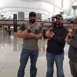 French Bulldog Puppies from Blue Mountain French Bulldogs