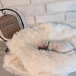 Buzz - Chalk male Labradoodle puppy in Bryantown, Maryland from Doodles on Duty