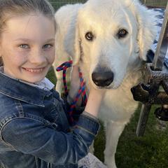 Kuvasz and Pumi All Grown Up from Ederra (Kuvasz and Pumi)