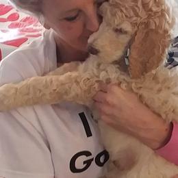 Poodle Puppies from Barbi's Standards