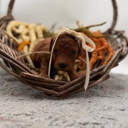 Pecan - Red female Bernedoodle puppy in Ocala, Florida from Bernedoodles of Florida