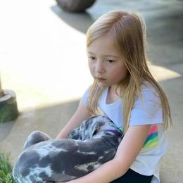 Great Dane Puppies from Sand Mountain Danes LLC