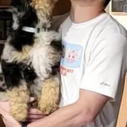 Aussiedoodle Puppies from Signature Doodles