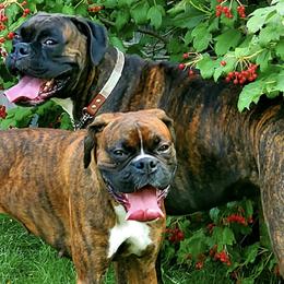 Boxers from Dunaway Boxers