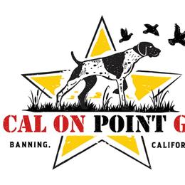 Boy 2 - Liver male German Shorthaired Pointer puppy in Banning, California from ⭐🦆 So Cal on Point GSP'S🇺🇲🇩🇪 lg