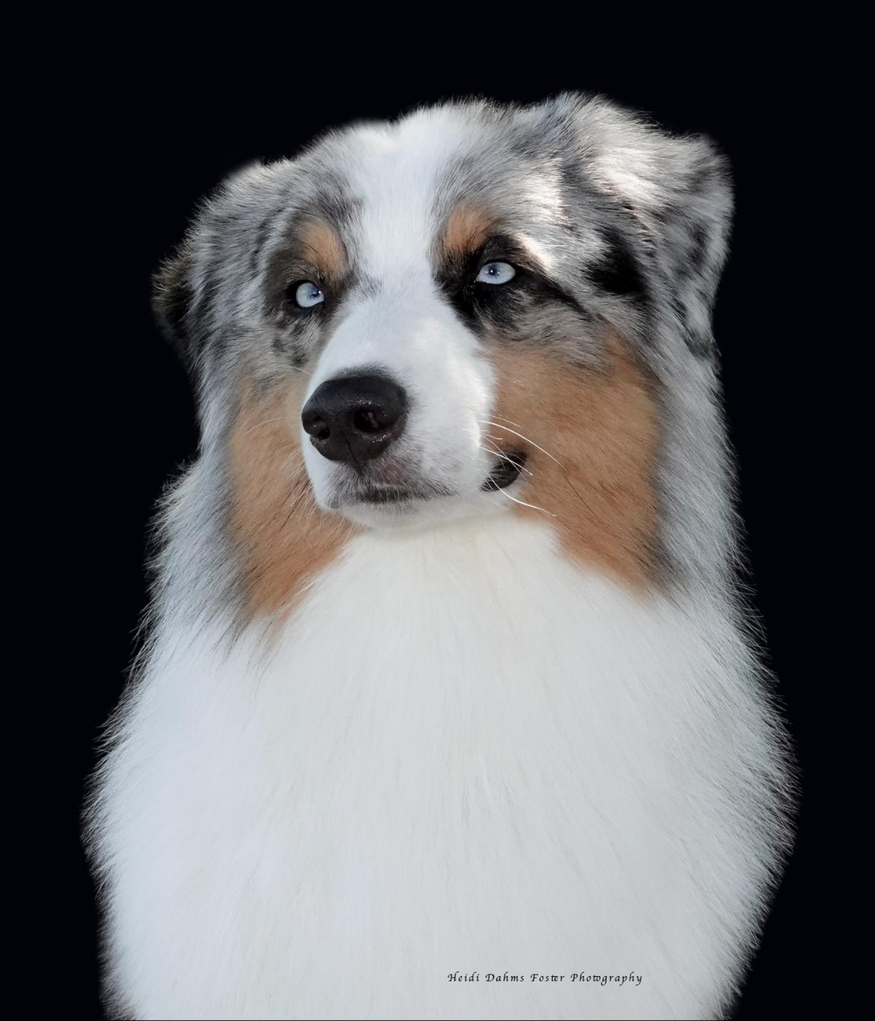 SKYE