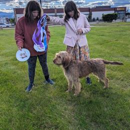 Otterhound All Grown Up from Vonda Rouleau
