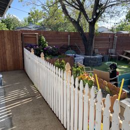 Sheepadoodle Puppies from Sunflower Family Farms