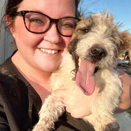 Willie - Tri-color male Russell Terrier puppy in Anson, Texas from Allie’s Small Town Jacks