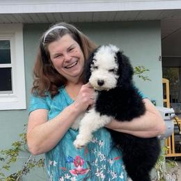 Purple - Black and white female Sheepadoodle puppy in Archer, Florida from Gainesville Sheepadoodles