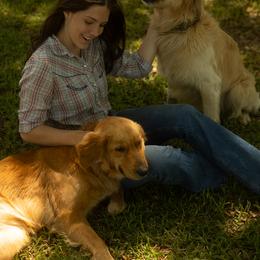 Golden Retriever All Grown Up from Magnolia Farm
