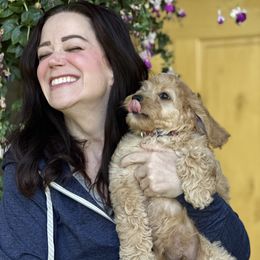 Australian Labradoodle Puppies from NorthStar Labradoodles, LLC.