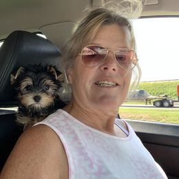 Yorkshire Terrier Puppies from Yorkielicious Yorkies