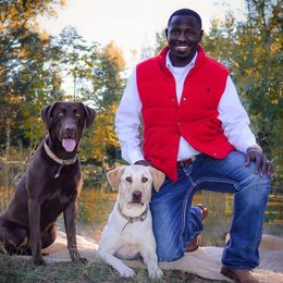 Labrador Retrievers from Broneck Kennels LLC